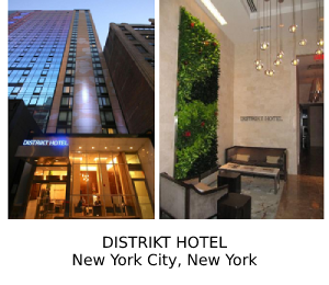 Distrikt Hotel, New York City, New York